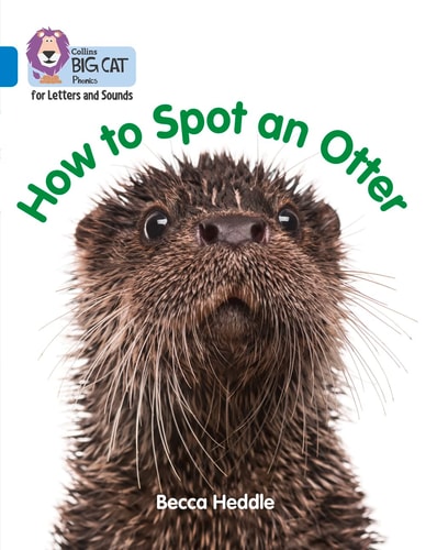 Be an Otter Expert: Band 4/Blue (Collins Big Cat Phonics)