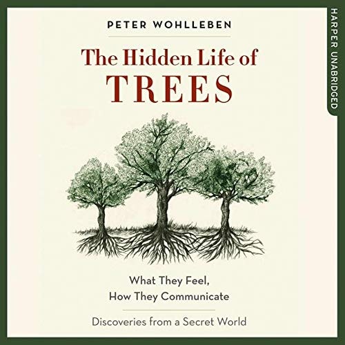 The Hidden Life of Trees: What They Feel, How They Communicate; Discoveries from a Secret World
