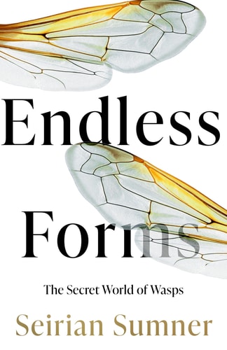 Endless Forms The Secret World of Wasps