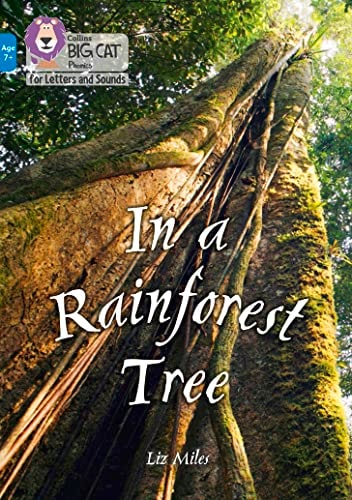 In a Rainforest Tree: Band 04/Blue (Collins Big Cat Phonics for Letters and Sounds – Age 7+)