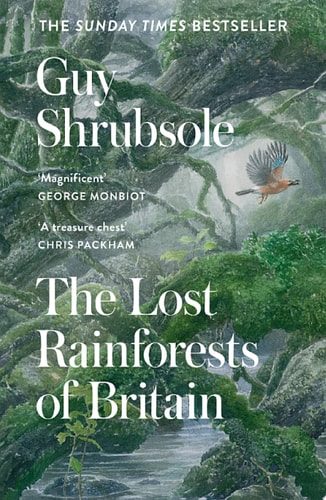 The Lost Rainforests of Britain