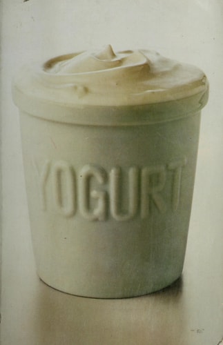 The Complete Book of Yogurt