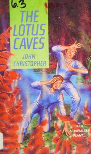 The Lotus Caves