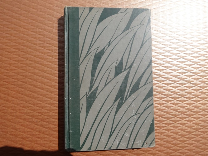 The Jungle Books