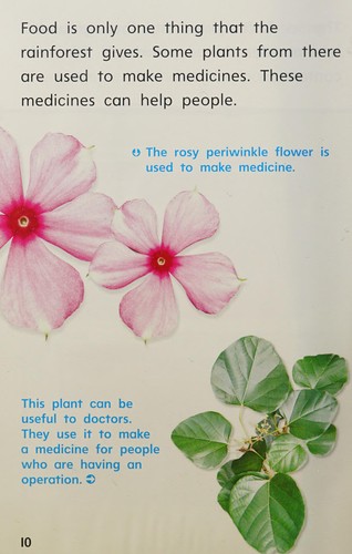Saving The Rainforest