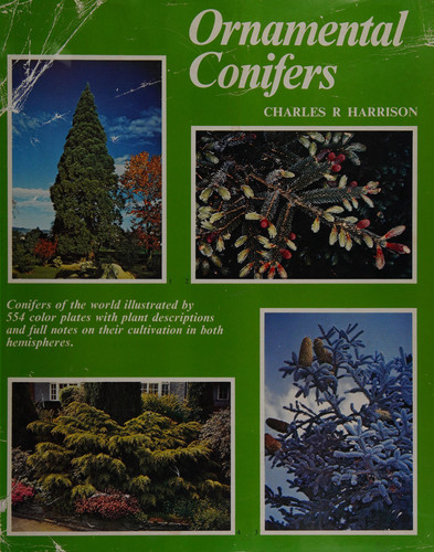 Ornamental Conifers
