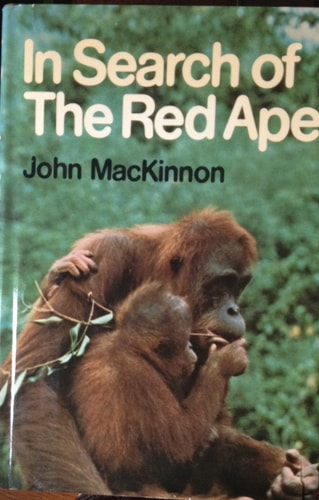 In Search of the Red Ape