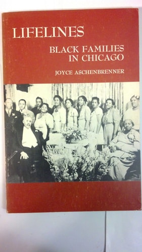 Lifelines: Black Families in Chicago