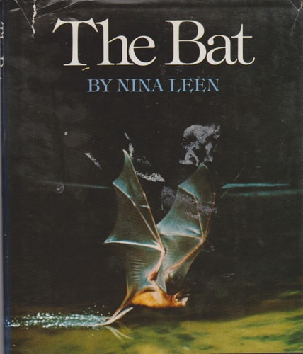 The Bat