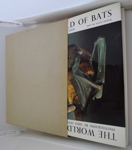 The world of bats