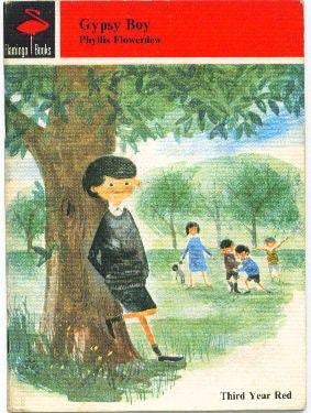 Gypsy Boy (Flamingo Books)