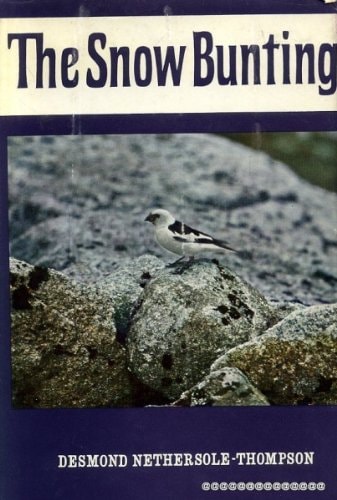 Snow Bunting