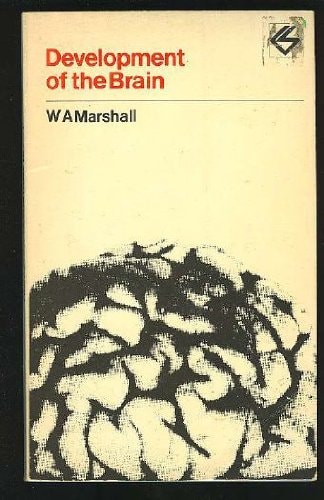 Development of the brain (Contemporary science paperbacks)