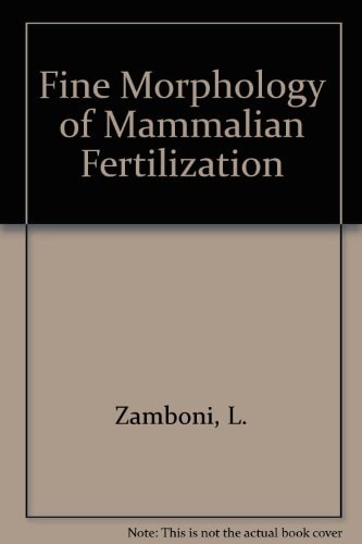 Fine morphology of mammalian fertilization
