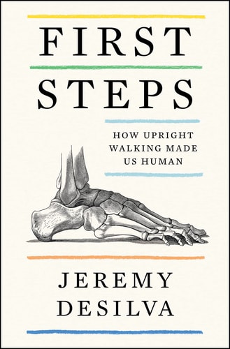 First Steps How Upright Walking Made Us Human