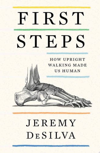 First Steps