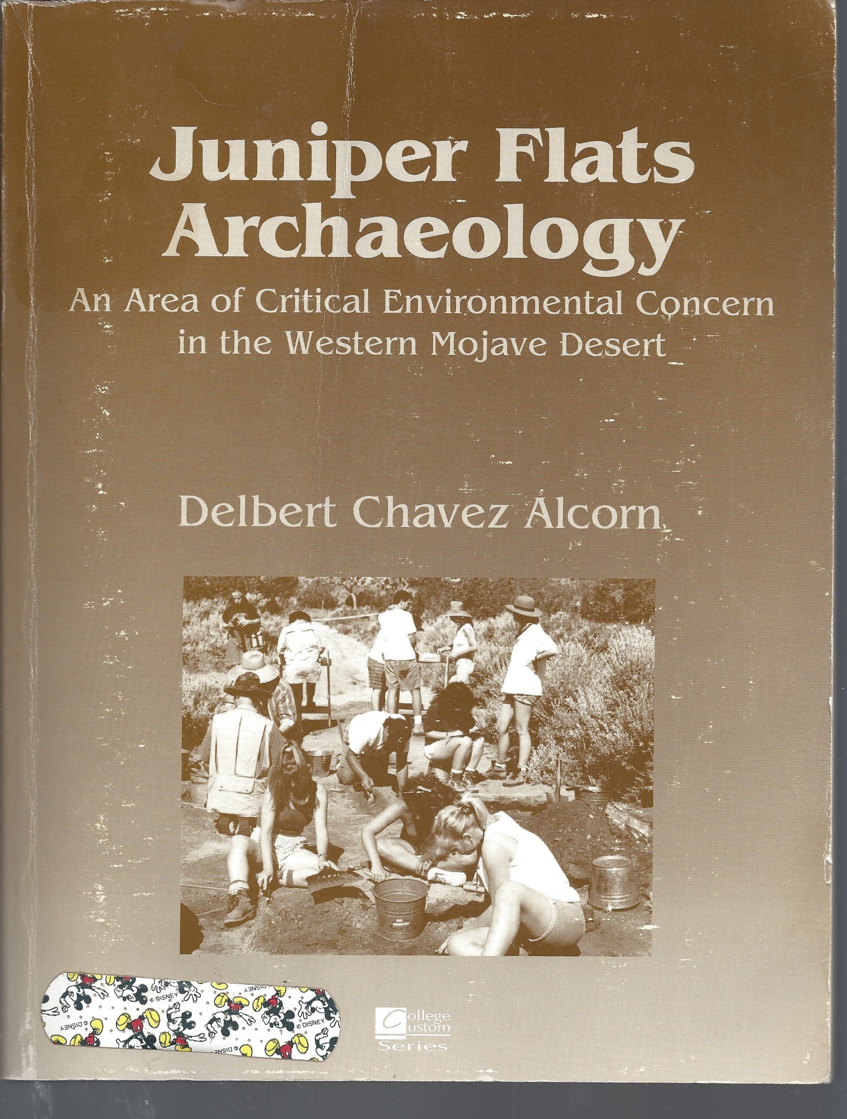 Juniper Flats archaeology: An area of critical environmental concern in the western Mojave Desert (College custom series)