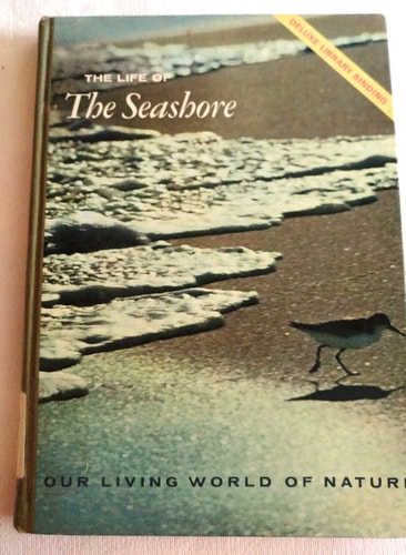 The Life of the Seashore (Our Living World of Nature)