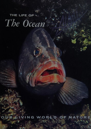 The Life of the Ocean