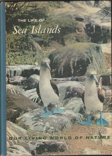The Life of Sea Islands