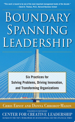 Boundary Spanning Leadership (PB)
