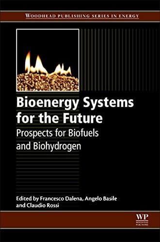 Bioenergy Systems for the Future Prospects for Biofuels and Biohydrogen