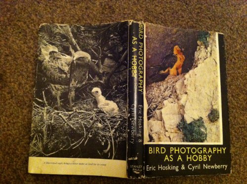 Bird Photography as a Hobby