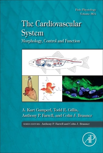 The Cardiovascular System Morphology, Control and Function
