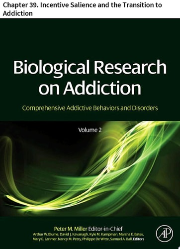 Biological Research on Addiction Chapter 39. Incentive Salience and the Transition to Addiction
