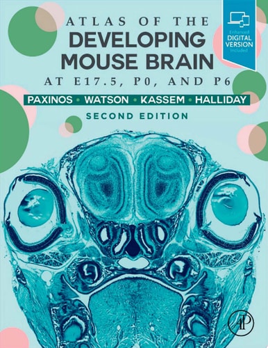 Atlas of the Developing Mouse Brain