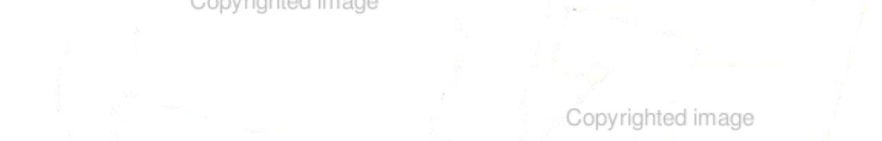 SF 171 The Federal Employment Application Form