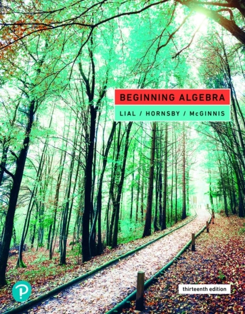 Beginning Algebra