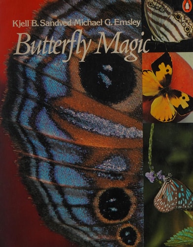 Butterfly Magic