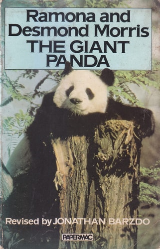The Giant Panda