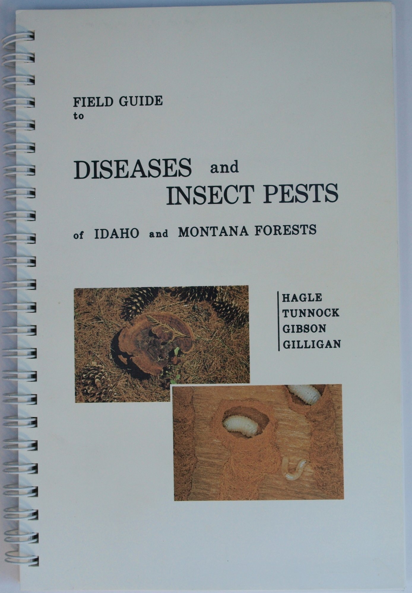 Field Guide to Diseases and Insect Pests of Idaho and Montana Forests