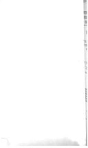 Investigation of Whitewater Development Corporation and Related Matters--Foster Phase. Hearings, Volume IV