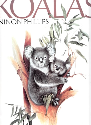 Koalas