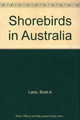 Shorebirds in Australia