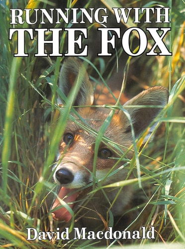 Running with the Fox