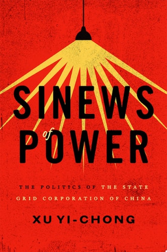 Sinews of Power: The Politics of the State Grid Corporation of China