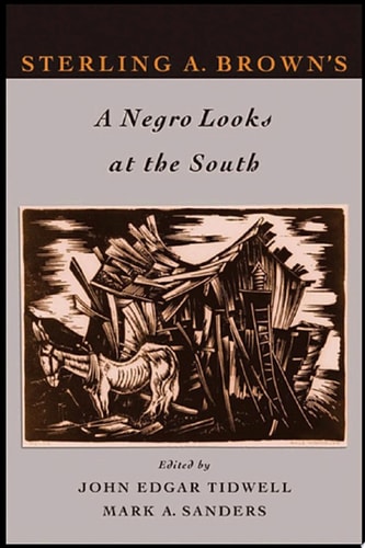 A Negro Looks at the South