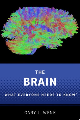 Brain: What Everyone Needs to Know