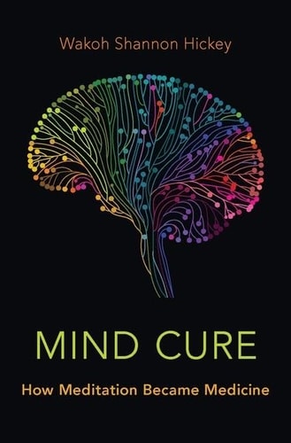 Mind Cure How Meditation Became Medicine