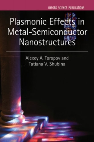 Plasmonic Effects in Metal-Semiconductor Nanostructures
