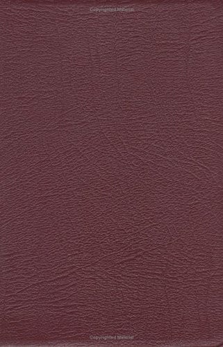 New Revised Standard Version Bible: Anglicized Presentation Edition