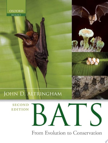 Bats
