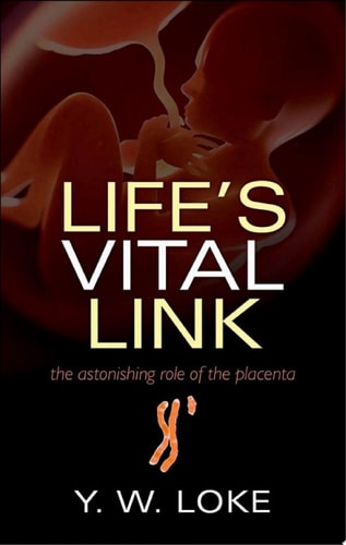 Life's Vital Link: The Astonishing Role of the Placenta