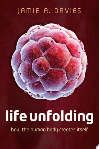 Life Unfolding: How the Human Body Creates Itself