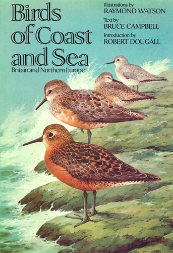 Birds of Coast and Sea: Britain and Northern Europe