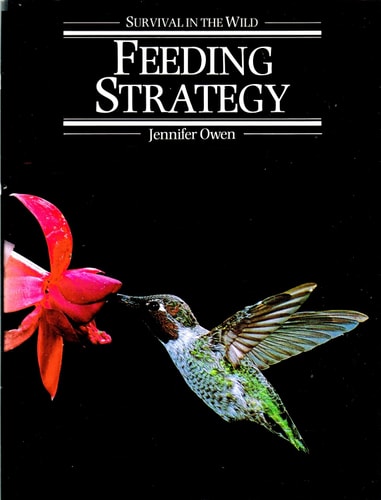 Survival in the Wild: Feeding Strategy